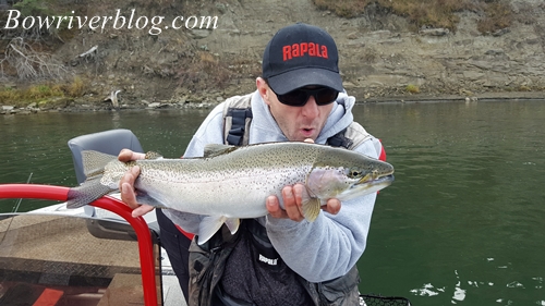 fall-fishing-for-bow-river-rainbows