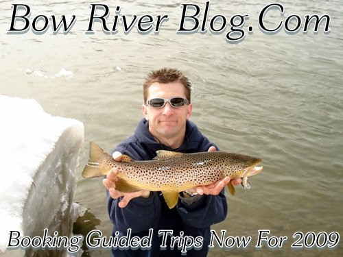 bow-river-trout-fishing-march-14-2009-017