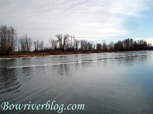 winter-fishing-tips-for-the-bow-river