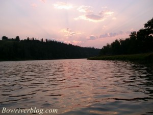 bow-river-summer-time-trout-fishing