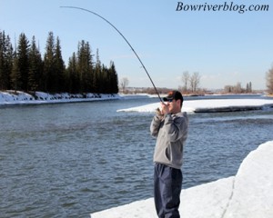 Winter Trout Fishing The Bow River 2011