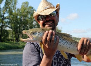 A large Bow River brown trout that smashed a Rapala