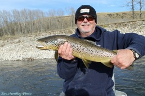 Massive Bow River Brown Trout