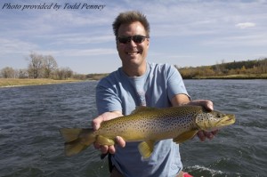 Bow-river-brown-trout-caught-sept-25-2011