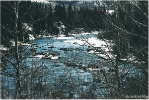 A look through the trees at the beautiful Bow River