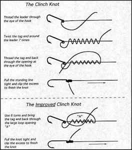 The clinch knot and the improved clinch knot