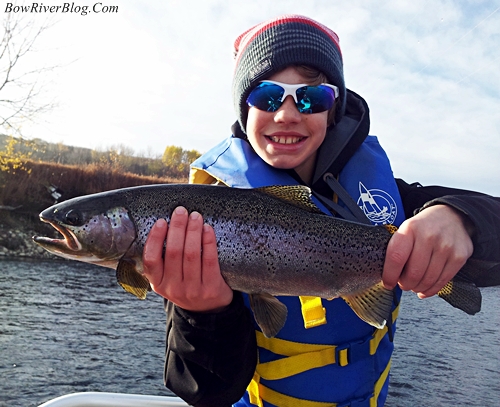 Large Bow River Rainbow 