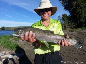 Bow River Rainbow Trout fishing 2013