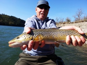 John lands a respectable bow river brown trout 2013