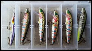A mix of Rapala Countdown lures
