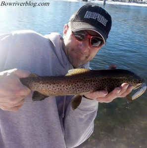 brown trout winter fishing the Bow River