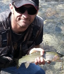 Cutthroat Trout from The Oldman River