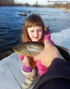 Bow River winter fishing 2014