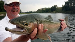 Massive Bow Rainbow Trout