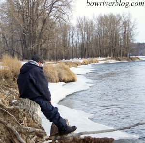 watching-for-bow-river-rising-trout
