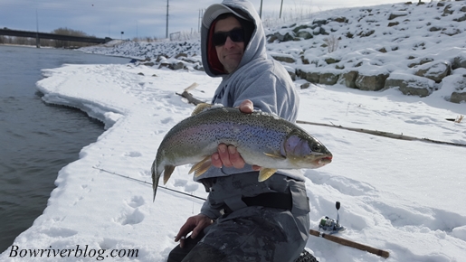 bow-river-trout-fishing-winter