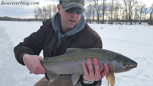 bow-river-fishing-january-2016