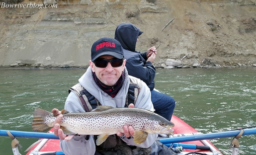 brown-trout-of-the-bow-river