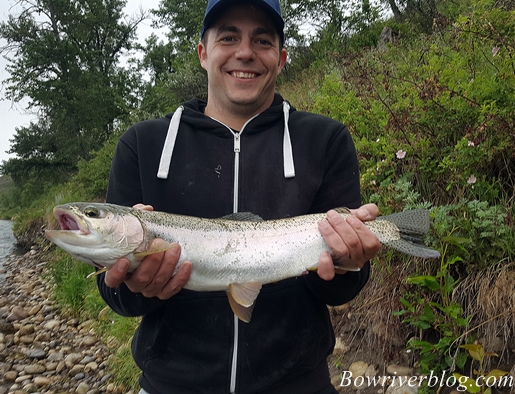 big bow river rainbow trout