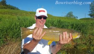 big-bow-river-brown-trout-2016