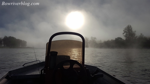 fall fog on the bow river