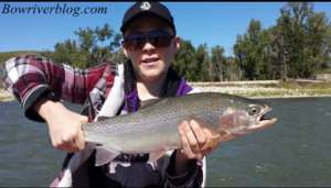 bow-river-rainbow-trout-fishing