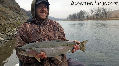 fall-fishing-the-bow-river-for-rainbow-trout