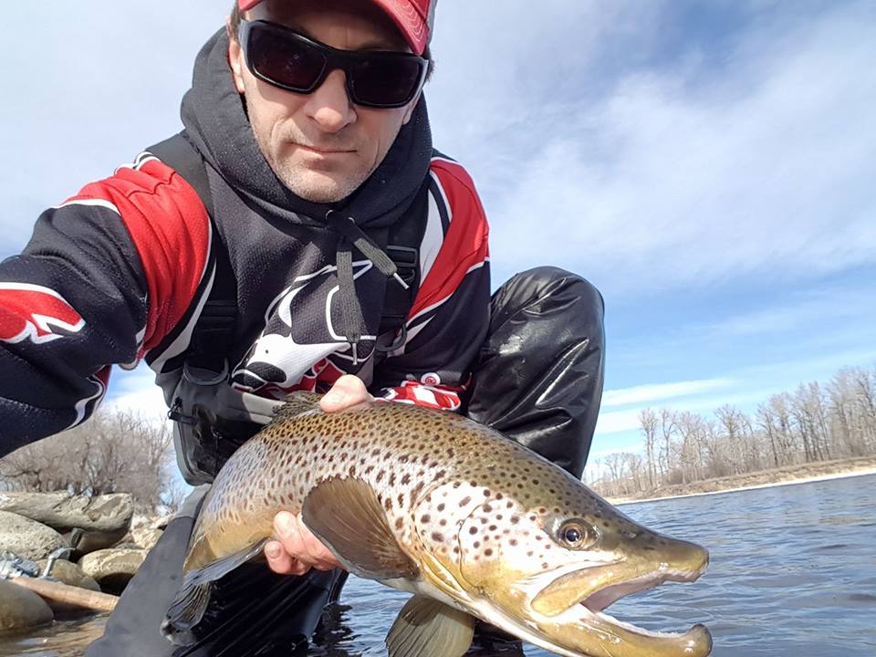 winter spin fishing the bow river alberta