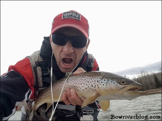 world class fishing bow river Calgary alberta