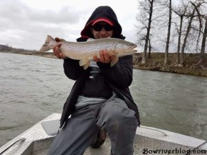 Lure Fishing – Bow River Blog