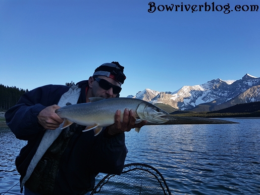 bull-trout-fishing-Alberta-Canada