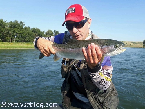 Guided spin fishing trips bow river Calgary 