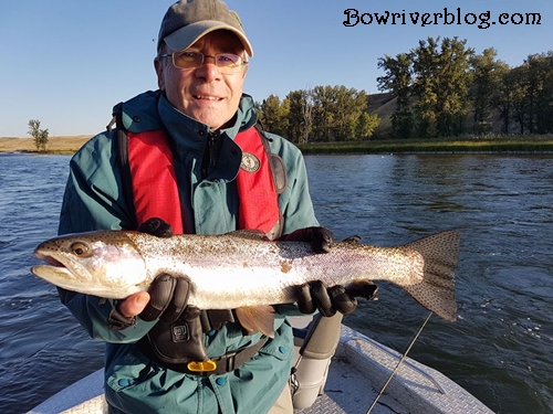 guided spin fishing trips bow river 