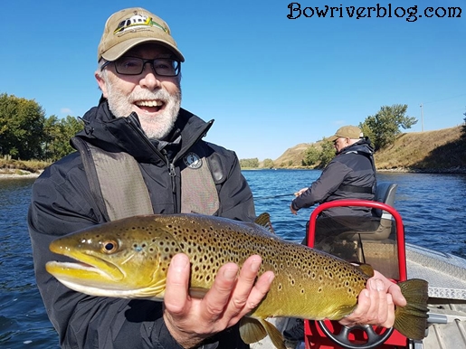 fall fishing for brown trout on the Bow River