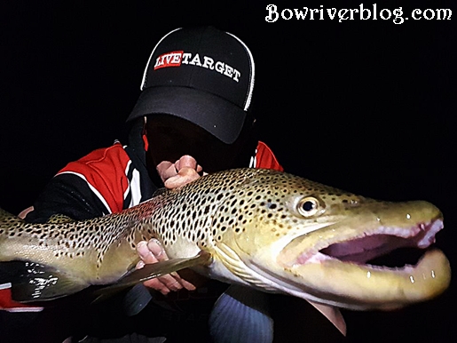 night fishing the Bow River