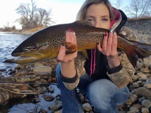 bow river trout fishing November 2017