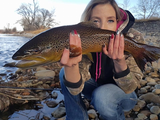 bow river trout fishing November 2017 