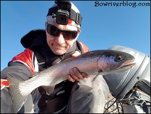 rainbow trout fishing the bow river with lures