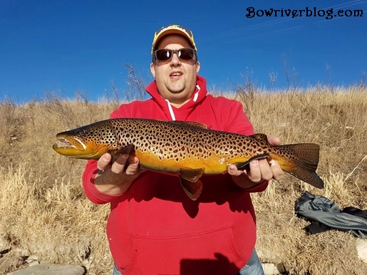 Fishing Rapala's on the bow river for big trout