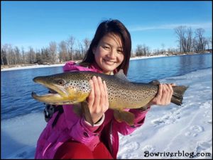 how-to-fish-for-big-browns-bow-river