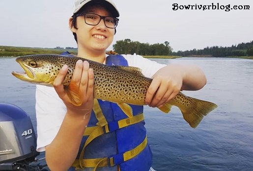 Ben catches his very first Bow River Brown Trout