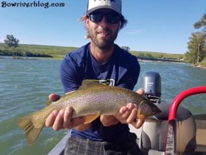 Rainbow Trout caught and released on the Bow River July 2018