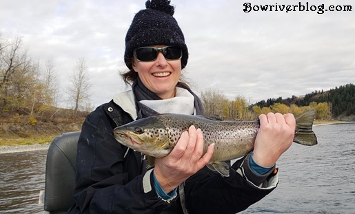 Fall-fishing-the-bow-river-for-brown-trout