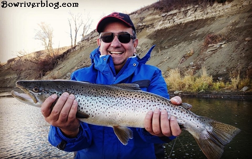 spin-fishing-the-bow-river-for-brown-trout