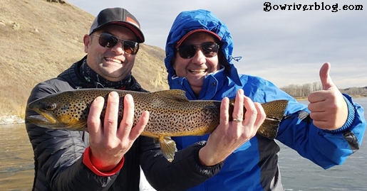 crank-bait-fishing-the-lower-bow-river-Calgary-Alberta
