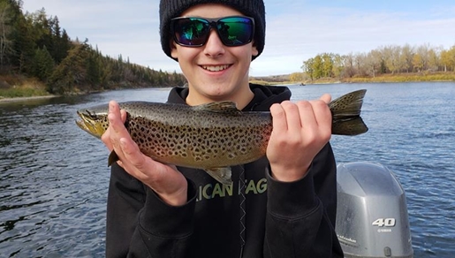 Bow River brown trout fishing