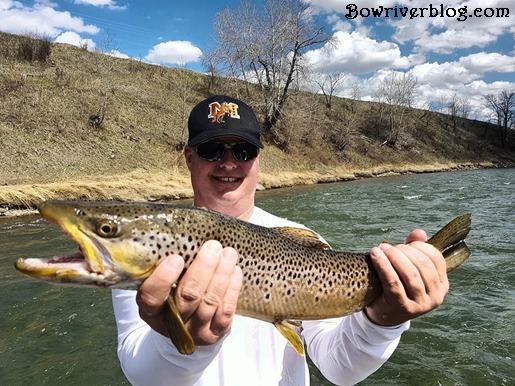 Trophy brown trout fishery Bow River 