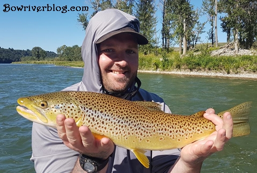 Fishing for brown trout on the bow river