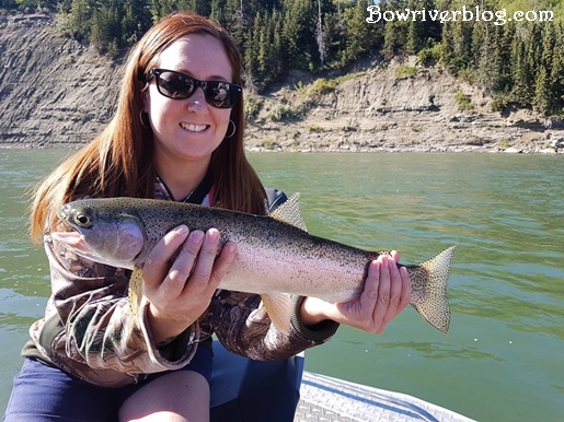 Summer spin fishing the lower bow river