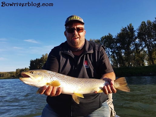 Brown trout caught on Rapala lures 